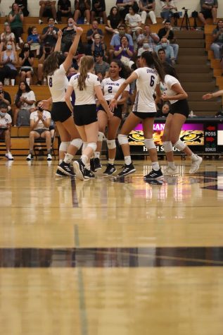 The Varsity Lady Cougars celebrate after scoring against El Paso High School on August 17 in the Main Gym. The Cougars won 3-0. 